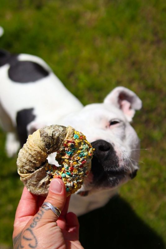 Святковий набір натуральних ласощів для собак Cooka's Cookies Candy Crush 190 г