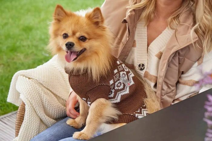 Светр в'язаний для собаки Wolters Norwegian 45 см Коричневий