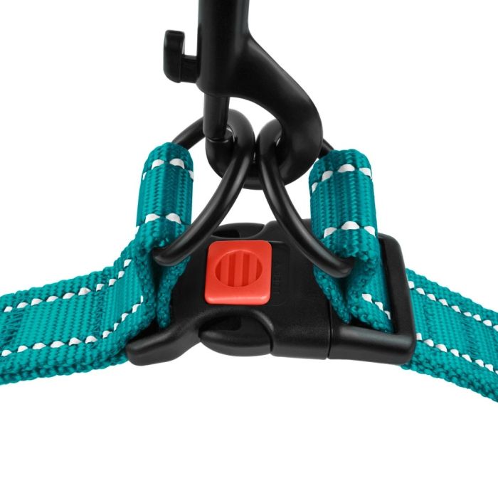 Шлея для собак BronzeDog Бірюза пластиковий фастекс 1225 70Т 16мм (40-53см)