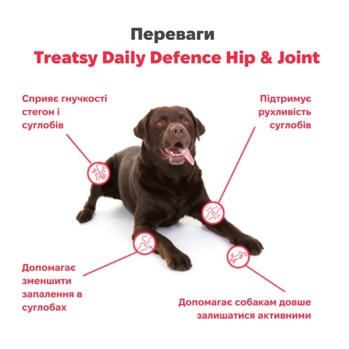 Щоденна добавка для собак Treatsy Daily Defence Hip & Joint Підтримка суглобів та кісток 30 шт.