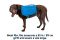Шлейка-рюкзак для собак Ruffwear Approach™ S Синій