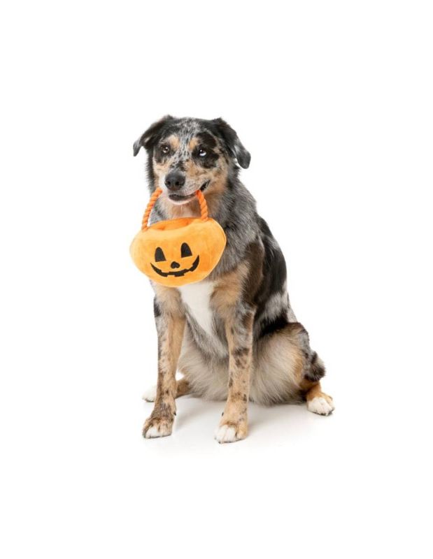 М'яка іграшка для собак FuzzYard Кошик Цукерки чи життя