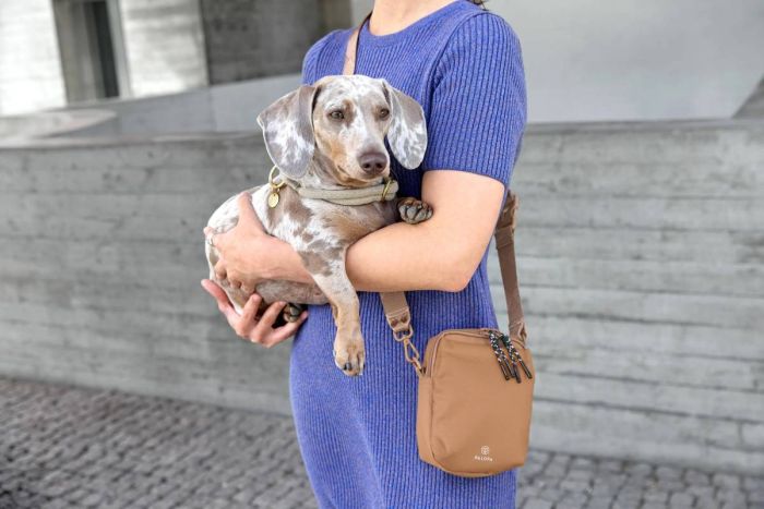 Сумка для ласощів і аксесуарів собак Palopa Greta L Бежевий