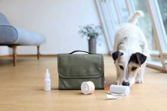 Сумка-аптечка Palopa Bano Оливковий (Без медикаментів)