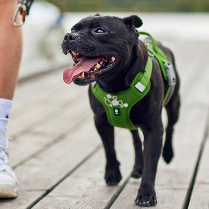 Шлейка пом'якшена для собак Hurtta Weekend Warrior Harness II ECO Зелений 55-70