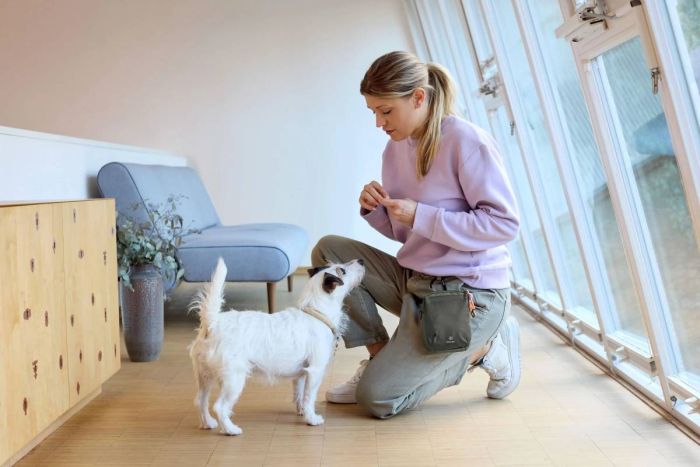 Сумка для ласощів і аксесуарів собак Palopa Greta L Оливковий