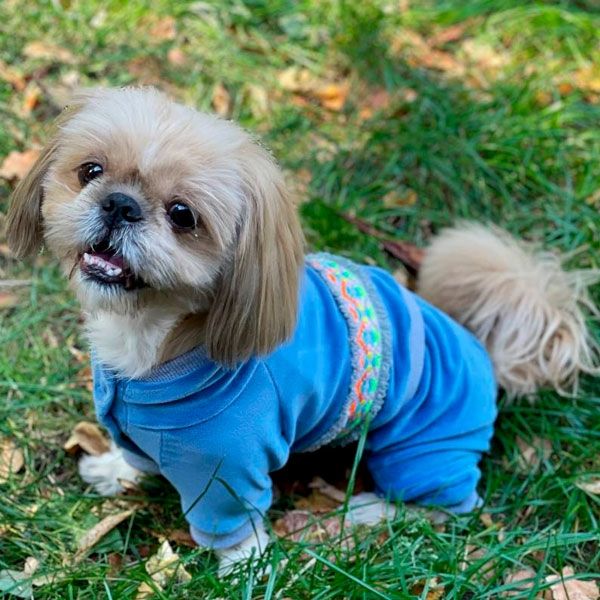 Комбінезон Колорит велюр (хлопчик) S1