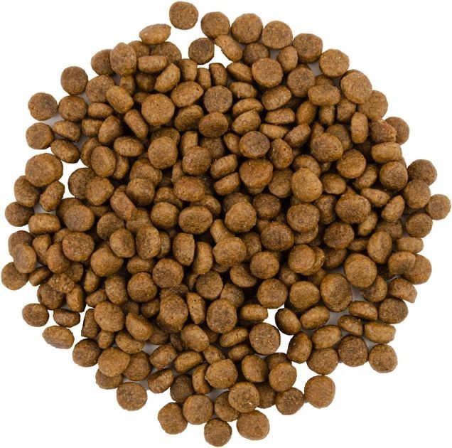 Savory Сухий корм для кішок зі свіжим мясом індички та качкою 2 кг