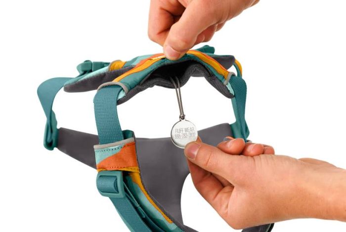 Повсякденна шлейка для собак Ruffwear Front Range S 56-69 см Бірюзово-оранжевий