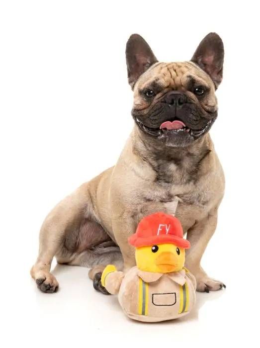 М'яка іграшка для собак FuzzYard Качка-пожежник