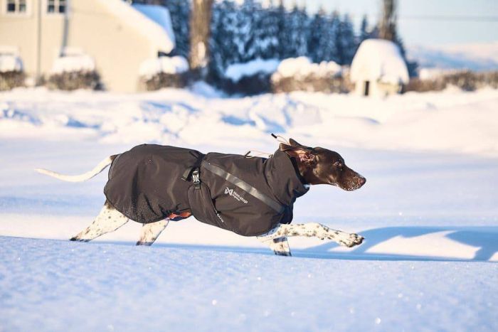 Куртка для собак Trekking insulated Non-stop dogwear Чорний 60