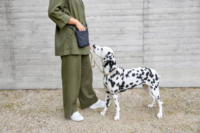 Сумка для ласощів і аксесуарів собак Palopa Karl M Темно-синій