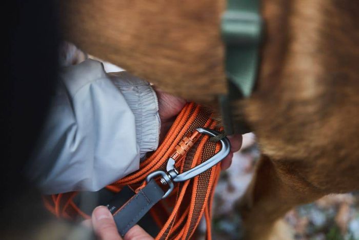 Повідець для собак Friction long line Non-stop dogwear Помаранчевий 15 м