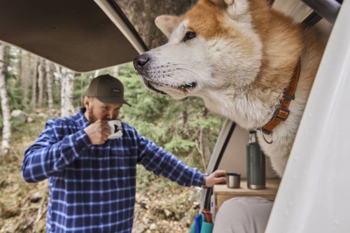 Нашийник для собак Hurtta Casual ECO 45-55 Коричневий