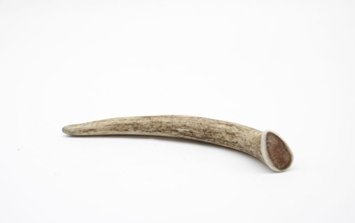 Ріг оленя Lucky dogs Середній. S 17-20 см.