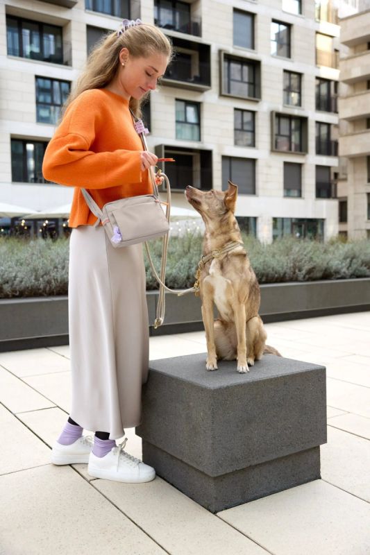 Квадратна сумка для ласощів та аксесуарів собак Palopa Noka Бежевий