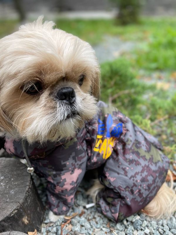 Камуфляж комбінезон на силіконі для собак хлопчиків M