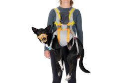 Набір для евакуації собаки Ruffwear BackTrak™ Сірий M