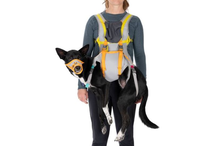 Набір для евакуації собаки Ruffwear BackTrak™ Сірий M