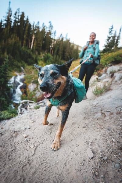 Шлейка-рюкзак для собак Ruffwear Front Range™ M Зелений