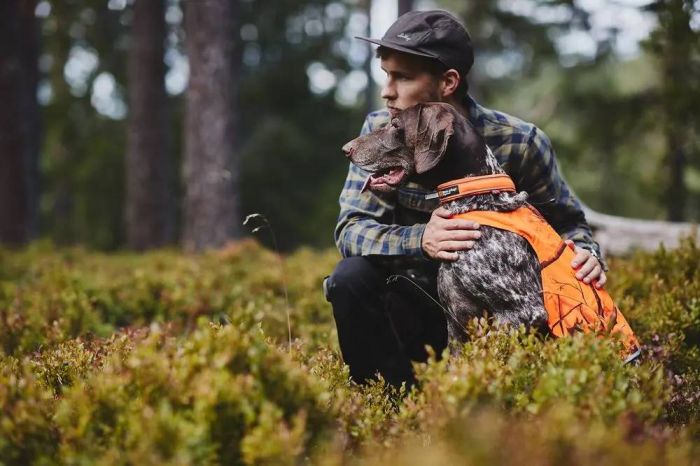 Нашийник для собак Safe Non-stop dogwear Помаранчевий 60