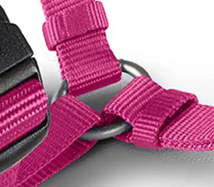 Анатомічна шлейка для собак Wolters Professional M 30-50 см / 15 мм Малиновий