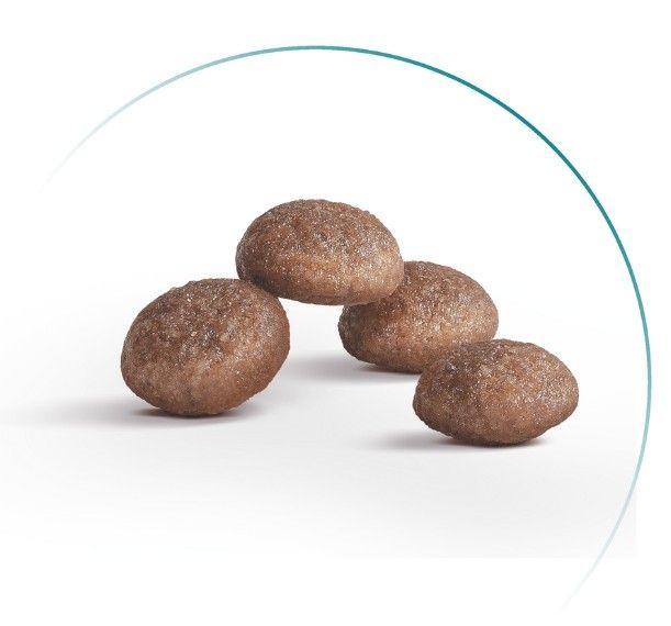 Royal Canin Ageing 11+ Sterilised сухий корм для стерилізованих кішок віком від 11 років, 2 кг 