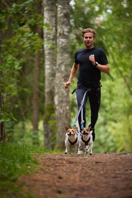 Повідець-спарка для собак Touring double Non-stop dogwear Чорний/Сірий S 50 см/13 мм