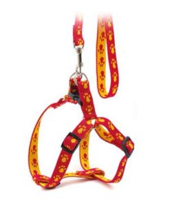 Комплект Franty Style Paw нейлон Жовто-червоний 20мм34-5241-62 см. 