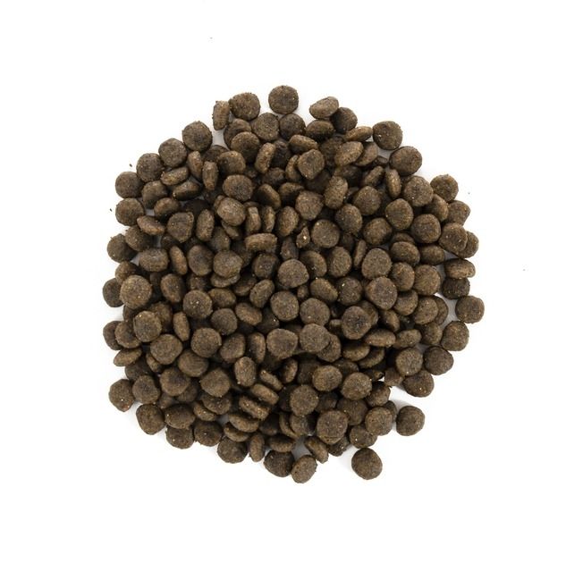 Brit Care Mini HairSkin сухий корм для дорослих собак мініатюрних порід 2 кг 