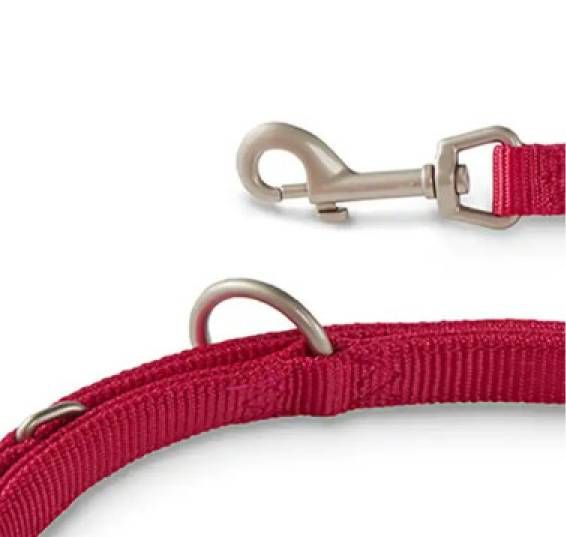 Повідець перестібка з нейлону для собак маленьких порід та котів Wolters Professional S 2 м / 10 мм Малиновий