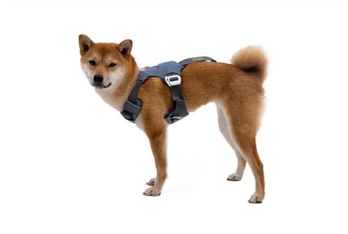 Автошлейка Ruffwear Load Up™ XXS 33-43 см Синій