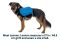 Шлейка-рюкзак для собак Ruffwear Approach™ S Синій