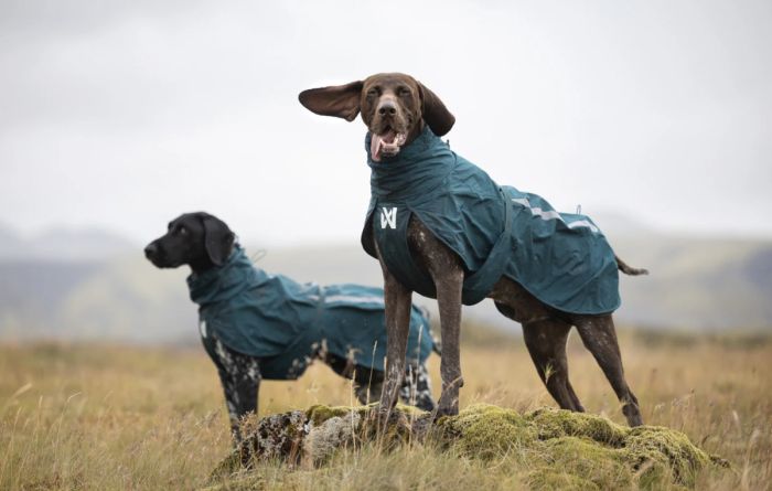 Дощовик для собак Non-stop dogwear Fjord lined Зелений 70