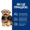 Hills LD Canine корм для собак при захворюванні печінки 1,5 кг 605842 
