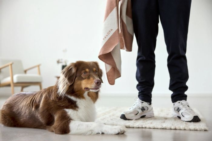 Плед для собак Palopa Ida M Stripes Бежево-коричнева смужка