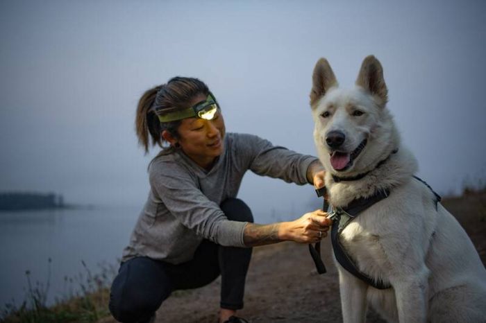 Повсякденна шлейка для собак Ruffwear Front Range® XS 43-56 см Сірий