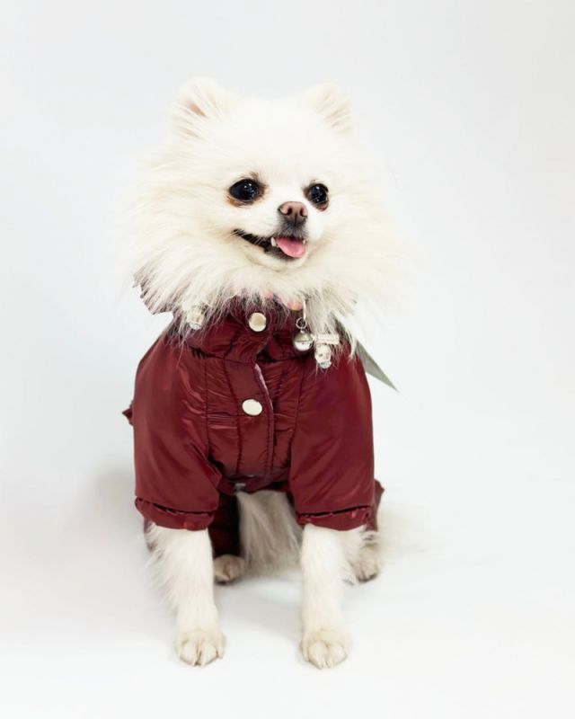 Комбінезон Принцеса на силіконі (дівчинка) М