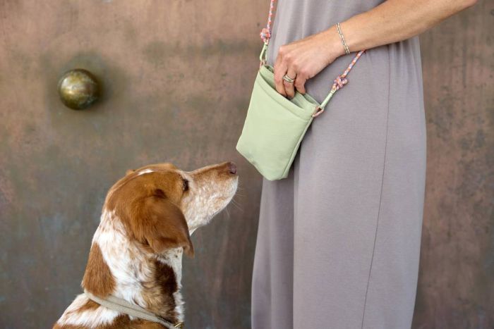 Сумка для ласощів і аксесуарів собак Palopa Karl M Хакі