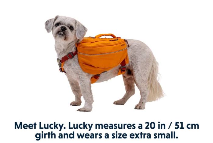 Шлейка-рюкзак для собак Ruffwear Approach™ M Помаранчевий