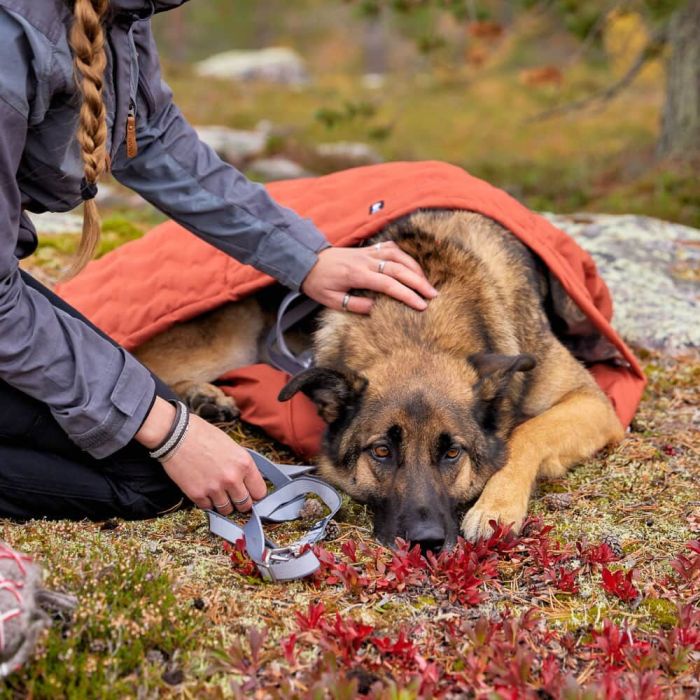 Спальний мішок для собак Hurtta Sleepover sleeping bag Помаранчевий M