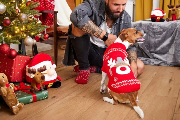 В'язаний светр для собаки Wolters Rudi Лось Руді 30 см Червоний