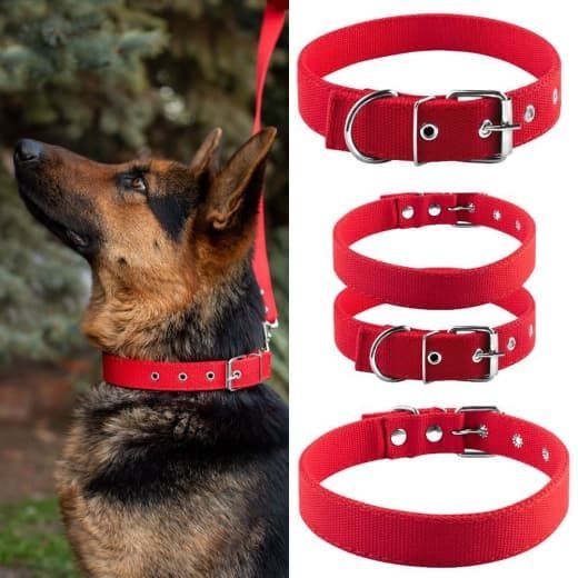 Нашийник економ брезент подвійний червоний 26-37 см