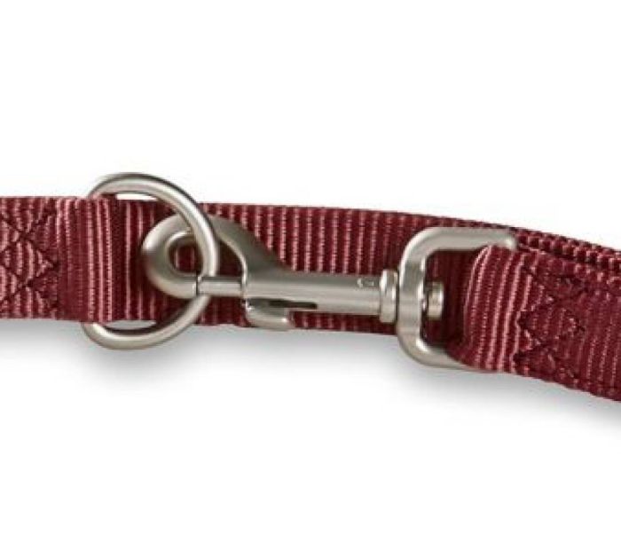 Повідець перестібка з нейлону Wolters Professional L 3 м / 20 мм Бордовий