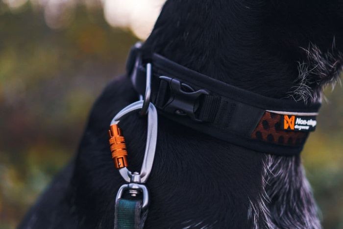 Регульований нашийник для собак Rock adjustable collar Non-stop dogwear Чорний/Помаранчевий S
