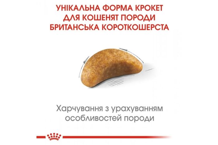 АКЦІЯ Royal Canin British Shorthair Kitten сухий корм для британських короткошерстих кошенят 8+2 кг 