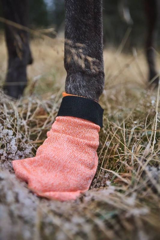 Шкарпетки для собак Protector light socks Non-stop dogwear Помаранчевий L 4 Шт.