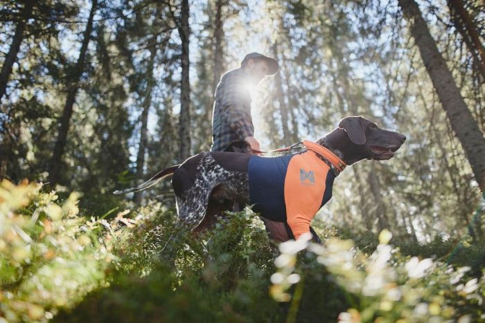 Футболка для собак Protector t-shirt Non-stop dogwear Чорний/Помаранчевий L