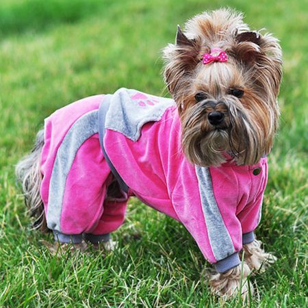 Комбінезон Лапка для дівчаток велюр комбінезон Лапка для дівчаток велюр