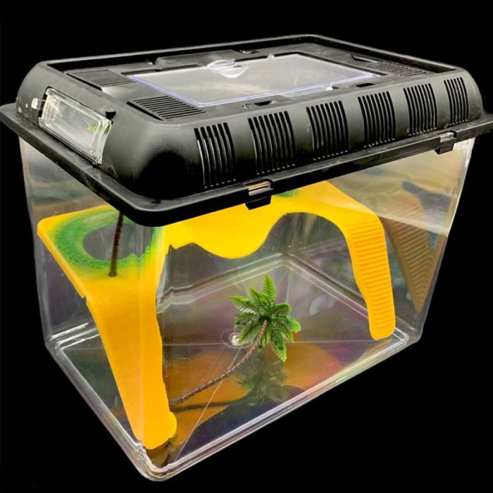 Тераріум пластиковий прямокутний розмір 322023